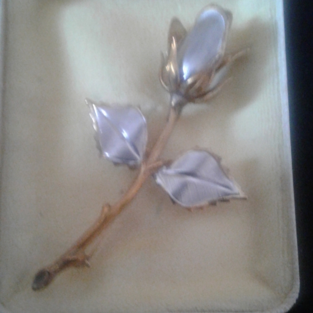 Vintage Pin